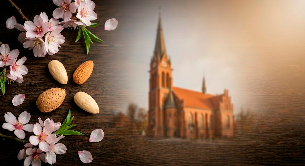 фото анонса Производство марципана Поматти: секреты качества